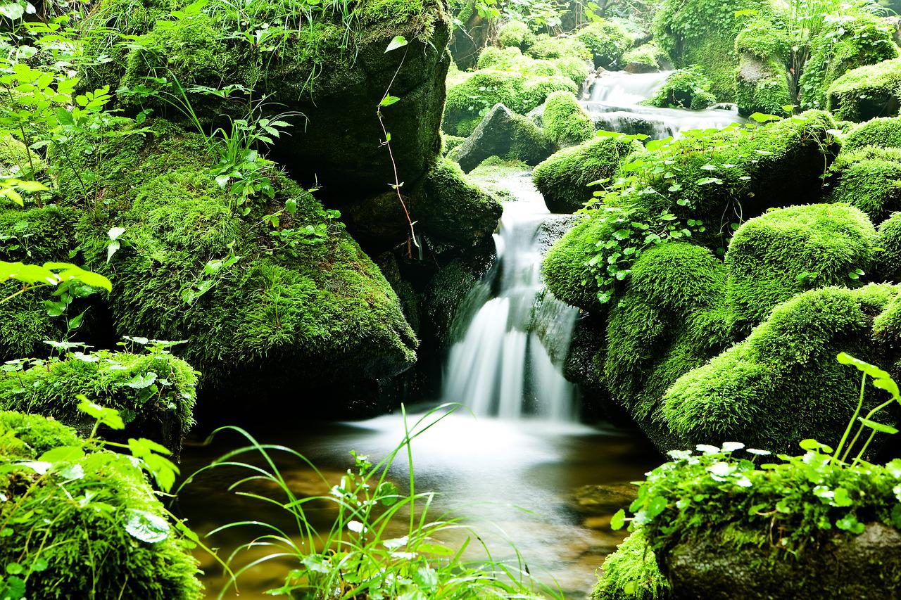 Kleiner Wasserfall zwischen moosbewachsenen Steinen im Wald
